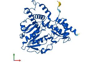 AlphaFold protein structure predicition of Human Recombinant PSAT1 Protein, UniprotID Q9Y617