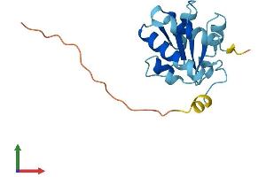 Protein Structure (PS) image for NHP2 Ribonucleoprotein (NHP2) (AA 1-153) protein (His tag) (ABIN7549856)