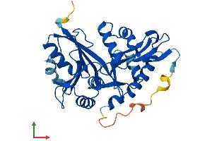 AlphaFold protein structure predicition of Human Recombinant GLYATL1 Protein, UniprotID Q969I3