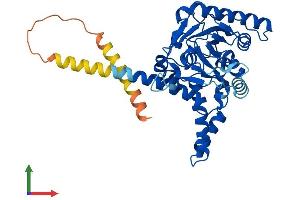 AlphaFold protein structure predicition of Human Recombinant DGAT2 Protein, UniprotID Q96PD7