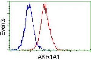 Image no. 4 for anti-Aldo-Keto Reductase Family 1, Member A1 (Aldehyde Reductase) (AKR1A1) antibody (ABIN1496543) (AKR1A1 antibody)