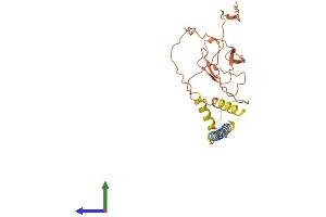 AlphaFold protein structure predicition of Human Recombinant C17orf78 Protein, UniprotID Q8N4C9 (C17orf78 Protein (AA 1-275) (His tag))