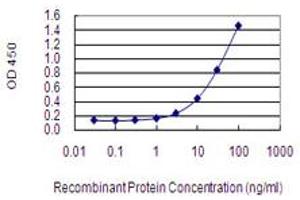Detection limit for recombinant GST tagged AFF2 is 0. (AFF2 antibody  (AA 109-219))