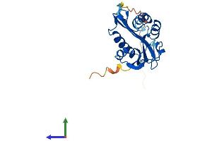 Protein Structure (PS) image for Aralkylamine N-Acetyltransferase (AANAT) (AA 1-205) protein (His tag) (ABIN7562664)