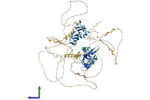 Protein Structure (PS) image for Interferon Regulatory Factor 2 Binding Protein-Like (IRF2BPL) (AA 1-775) protein (His tag) (ABIN7559556)