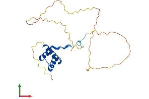 AlphaFold protein structure predicition of Human Recombinant HOXB7 Protein, UniprotID P09629