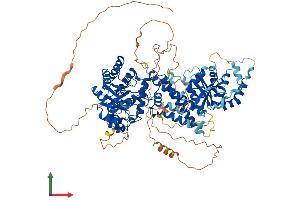 AlphaFold protein structure predicition of Human Recombinant OGA Protein, UniprotID O60502