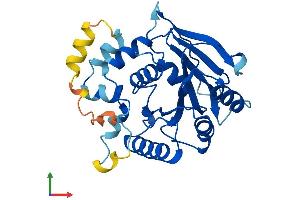 AlphaFold protein structure predicition of Human Recombinant GTPBP8 Protein, UniprotID Q8N3Z3