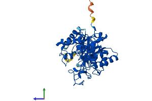 AlphaFold protein structure predicition of Mouse Recombinant Bhmt2 Protein, UniprotID Q91WS4 (BHMT2 Protein (AA 1-363) (His tag))