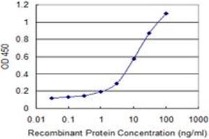 Detection limit for recombinant GST tagged COLEC12 is 0. (COLEC12 antibody  (AA 101-200))