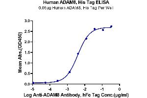 ELISA image for ADAM Metallopeptidase Domain 8 (ADAM8) (AA 17-655) protein (His tag) (ABIN7273801)