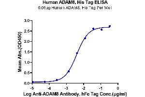 Immobilized Human ADAM8, His Tag at 0. (ADAM8 Protein (AA 17-655) (His tag))