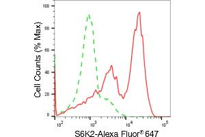 Flow cytometric analysis of S6K2 expression in HAP-1 cells using S6K2 antibody (ABIN7800227), 1:2,000). (Recombinant RPS6KB2 antibody)