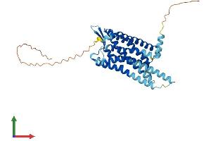 AlphaFold protein structure predicition of Mouse Recombinant Prlhr Protein, UniprotID Q6VMN6