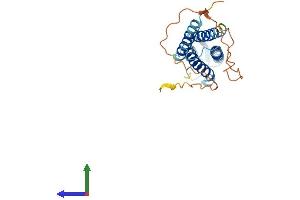 AlphaFold protein structure predicition of Mouse Recombinant Tmem225 Protein, UniprotID Q9D9S2 (TMEM225 Protein (AA 1-230) (His tag))