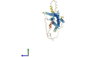 Protein Structure (PS) image for G Protein-Coupled Receptor 135 (GPR135) (AA 1-457) protein (His tag) (ABIN7558279)