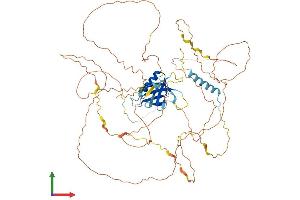 AlphaFold protein structure predicition of Mouse Recombinant Gab2 Protein, UniprotID Q9Z1S8