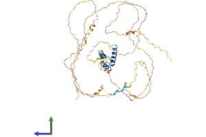 AlphaFold protein structure predicition of Mouse Recombinant Irx5 Protein, UniprotID Q9JKQ4 (IRX5 Protein (AA 1-484) (His tag))