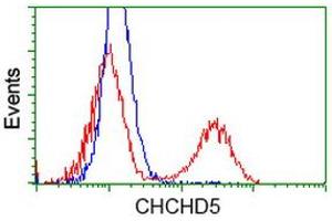 Image no. 4 for anti-Coiled-Coil-Helix-Coiled-Coil-Helix Domain Containing 5 (CHCHD5) antibody (ABIN1497488) (CHCHD5 antibody)