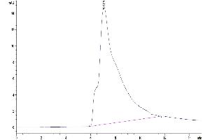 The purity of Human CLEC10A is greater than 95 % as determined by SEC-HPLC. (CLEC10A Protein (AA 61-292) (His tag))