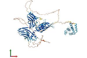 AlphaFold protein structure predicition of Human Recombinant DTHD1 Protein, UniprotID Q6ZMT9 (DTHD1 Protein (AA 1-781) (His tag))