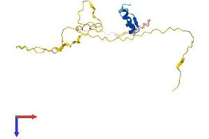 AlphaFold protein structure predicition of Human Recombinant ZNF428 Protein, UniprotID Q96B54