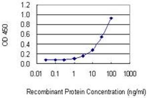 Detection limit for recombinant GST tagged SULF2 is 0. (SULF2 antibody  (AA 1-149))