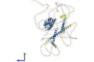 Protein Structure (PS) image for Prospero Homeobox 1 (PROX1) (AA 1-737) protein (His tag) (ABIN7555053)