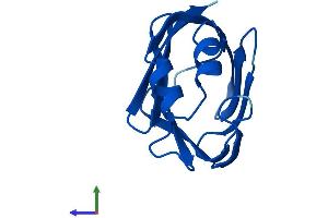 AlphaFold protein structure predicition of Human Recombinant RBP7 Protein, UniprotID Q96R05 (RBP7 Protein (AA 1-134) (His tag))