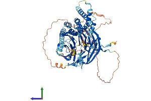 AlphaFold protein structure predicition of Mouse Recombinant Katnb1 Protein, UniprotID Q8BG40 (KATNB1 Protein (AA 1-658) (His tag))