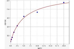 Hypoxia Inducible Factor 1, alpha Subunit Inhibitor (HIF1AN) ELISA Kit