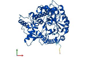 AlphaFold protein structure predicition of Human Recombinant GBA3 Protein, UniprotID Q9H227