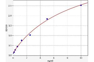 Stathmin 1 ELISA Kit