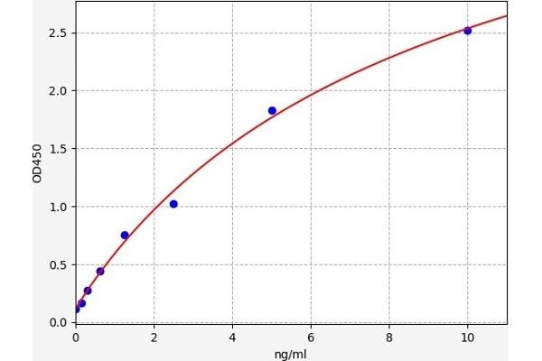 Stathmin 1 ELISA Kit