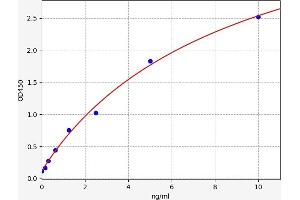 Typical standard curve (Stathmin 1 ELISA Kit)
