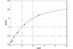 Cyclin-Dependent Kinase 6 (CDK6) ELISA Kit