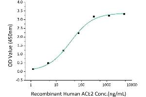 Immobilized Recombinant 2019-nCoV Spike S1-His at 2 μg/mL (100 μL/well) can bind Recombinant Human ACE2 with a linear range of 1. (SARS-CoV-2 Spike S1 Protein (His tag))