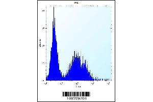 Flow cytometric analysis of 293 cells (right histogram) compared to a negative control cell (left histogram). (TSSK6 antibody  (C-Term))