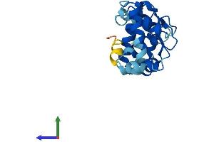 AlphaFold protein structure predicition of Human Recombinant CIB3 Protein, UniprotID Q96Q77 (CIB3 Protein (AA 1-187) (His tag))