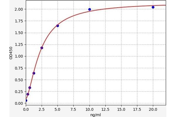 PTPRN ELISA Kit