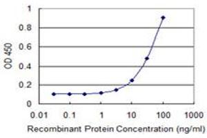 Detection limit for recombinant GST tagged TBX21 is 1 ng/ml as a capture antibody. (T-Bet antibody  (AA 387-486))