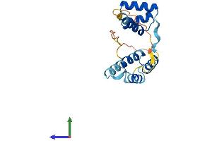 AlphaFold protein structure predicition of Human Recombinant DUX1 Protein, UniprotID O43812 (DUX1 Protein (AA 1-170) (His tag))
