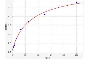 PROC ELISA Kit