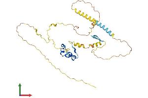 AlphaFold protein structure predicition of Mouse Recombinant Cxxc5 Protein, UniprotID Q91WA4