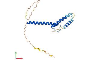 Protein Structure (PS) image for Twist Homolog 2 (TWIST2) (AA 1-160) protein (His tag) (ABIN7544856)
