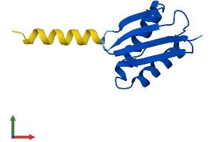 Protein Structure (PS) image for Dynein, Axonemal, Light Chain 4 (DNAL4) (AA 1-105) protein (His tag) (ABIN7547096)