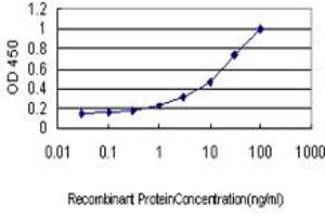Detection limit for recombinant GST tagged HHEX is approximately 0. (HHEX antibody  (AA 1-270))
