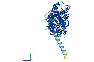 AlphaFold protein structure predicition of Mouse Recombinant Tmem19 Protein, UniprotID Q91W52 (TMEM19 Protein (AA 1-336) (His tag))
