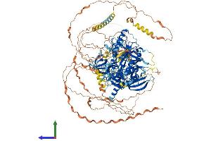 Protein Structure (PS) image for Ubiquitin-Conjugating Enzyme E2O (UBE2O) (AA 1-1292) protein (His tag) (ABIN7555919)