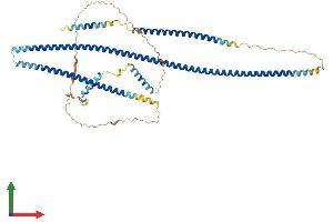 AlphaFold protein structure predicition of Human Recombinant TRAF3IP3 Protein, UniprotID Q9Y228 (TRAF3IP3 Protein (AA 1-551) (His tag))